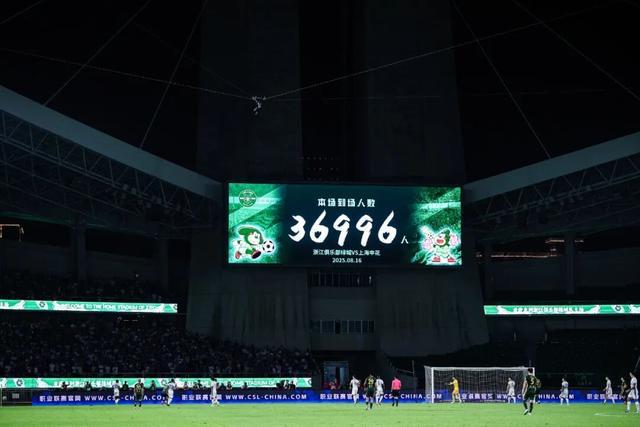 浙江队总经理焦凤波：提升造血功能，促进健康生态